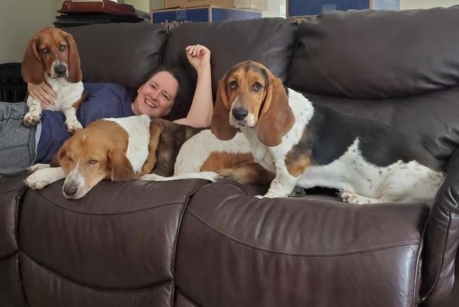 Belly Rubs Basset Rescue